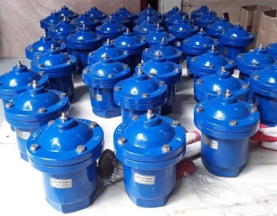 Van xả khí AUT DN50 nối bích